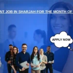 Accountant Job in Sharjah for the Month of October