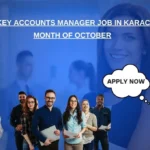 Assistant Key Accounts Manager Job in Karachi for the Month of October