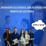 Assistant Manager Accounts Job in Pakistan for the Month of October