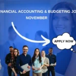 Manager Financial Accounting & Budgeting Job in Dubai November