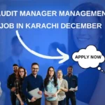 Senior Audit Manager Management Audit Job in Karachi December