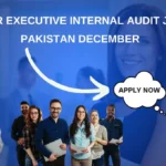 Senior Executive Internal Audit Job in Pakistan December