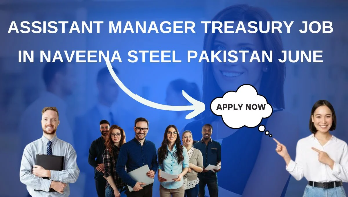 Assistant Manager Treasury Job in Naveena Steel Pakistan June